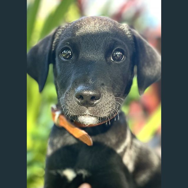 Photo of Fergus