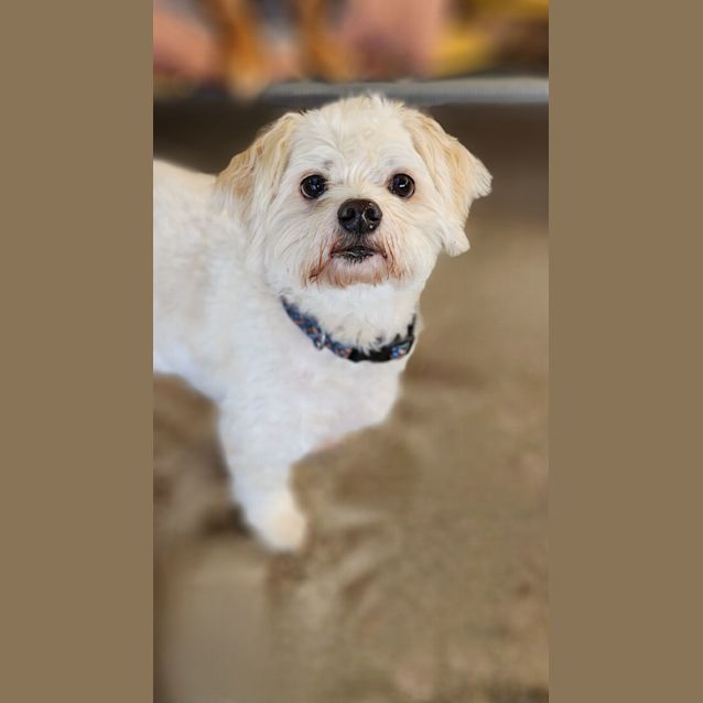 Photo of Mickey And Missy 