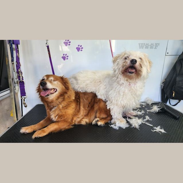 Photo of Mickey And Missy 