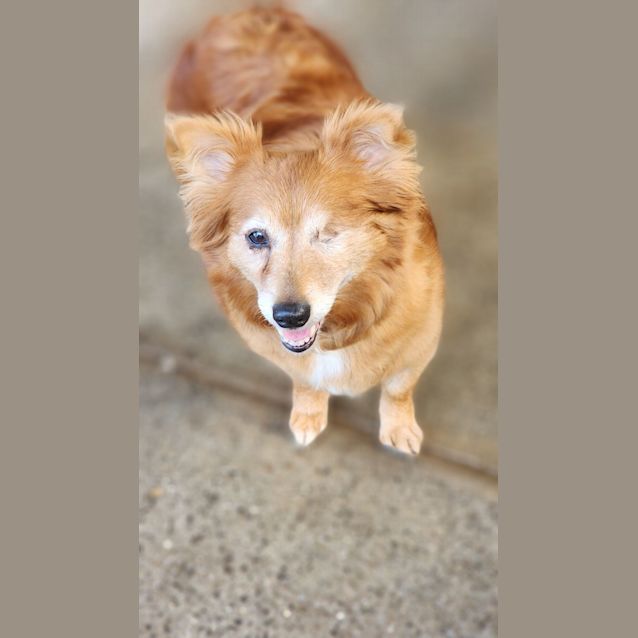 Photo of Mickey And Missy 