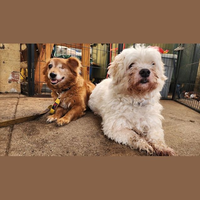 Photo of Mickey And Missy 