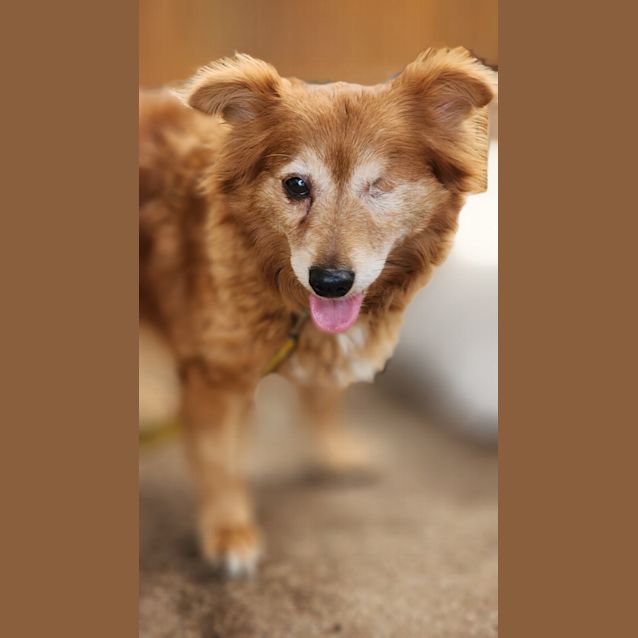 Photo of Mickey And Missy 