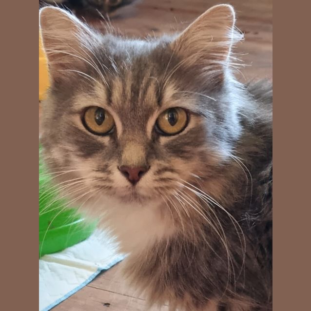 Photo of Miss Gracey