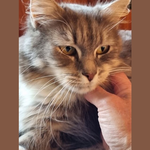 Photo of Miss Gracey