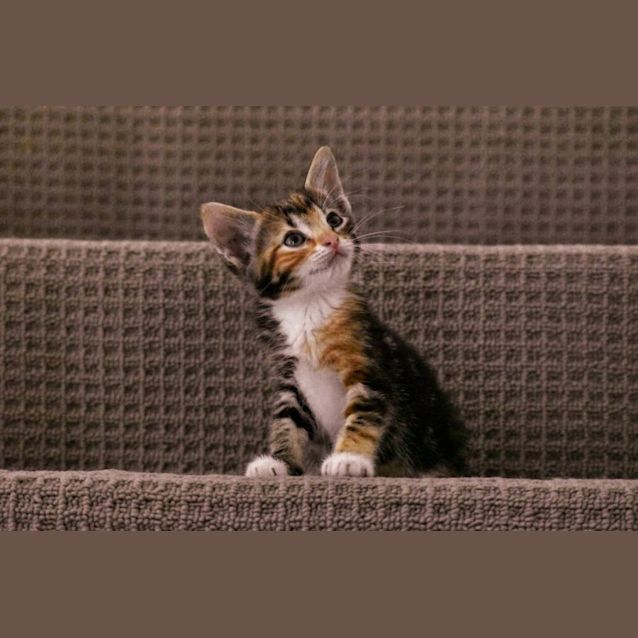 Photo of Selma & Ellie