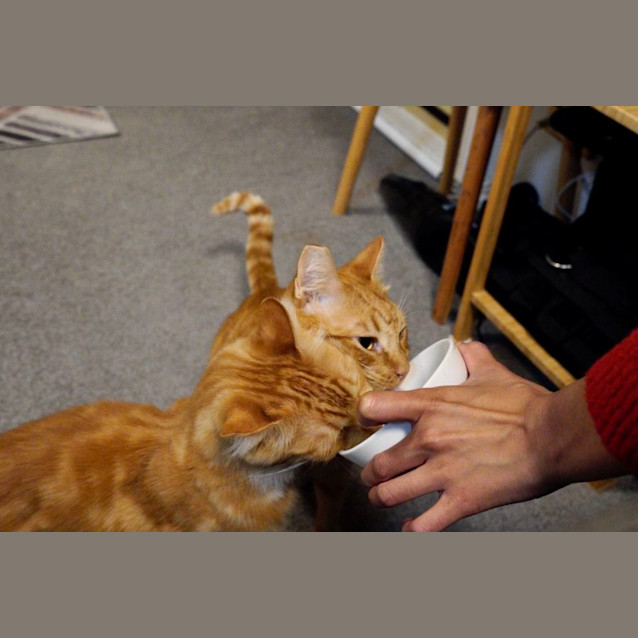 Photo of Snacks And Teddy 