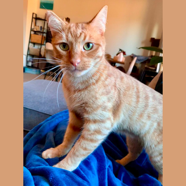 Photo of Snacks And Teddy 