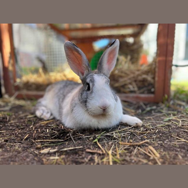 Photo of Jon Snow + Daenerys Targaryen