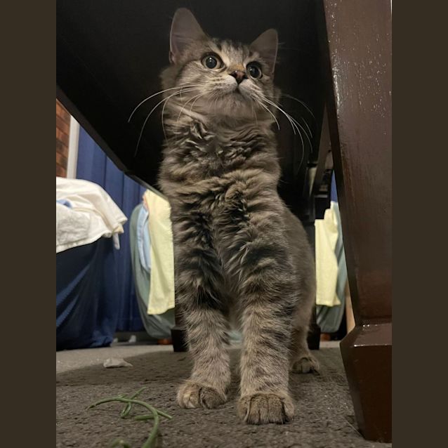 Photo of Sleepy