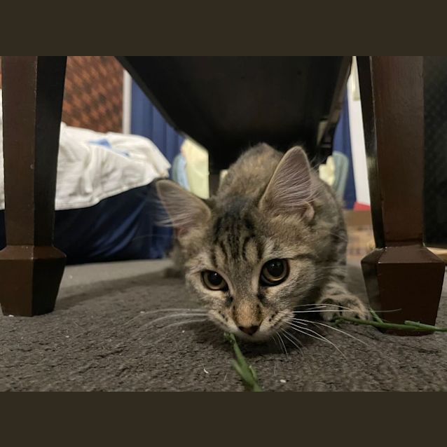 Photo of Sleepy
