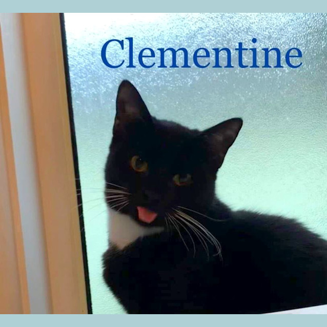 Photo of Clementine