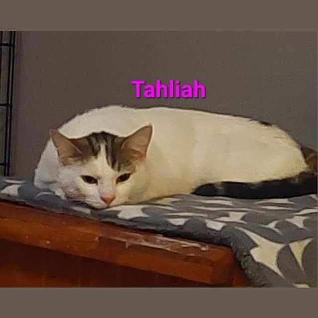 Photo of Tahliah