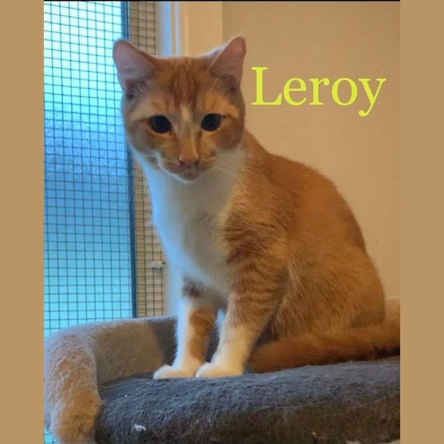 Photo of Leroy