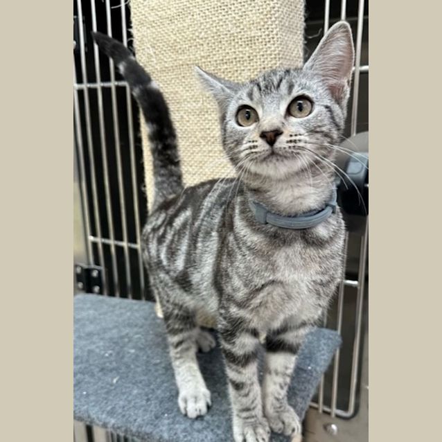 Photo of Tammie 9822