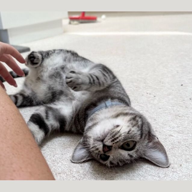 Photo of Tammie 9822