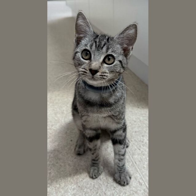 Photo of Tammie 9822