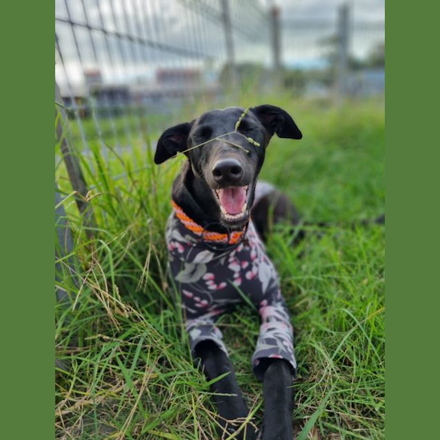 Photo of Jayla