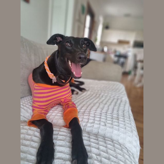 Photo of Jayla
