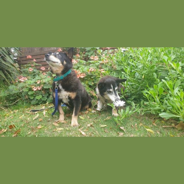 Photo of Rusty And Gemma Maddison