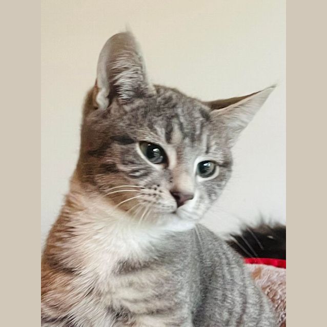 Photo of Winnie   Located In Preston