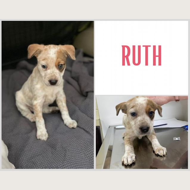 Photo of Ruth