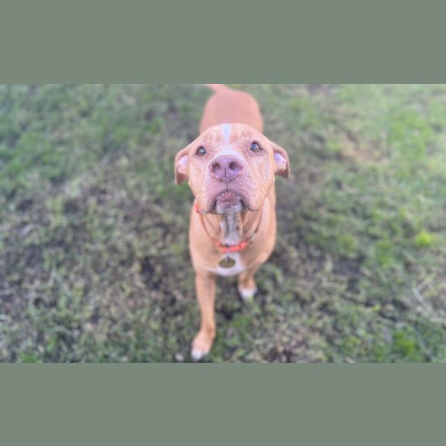 Photo of Trudy