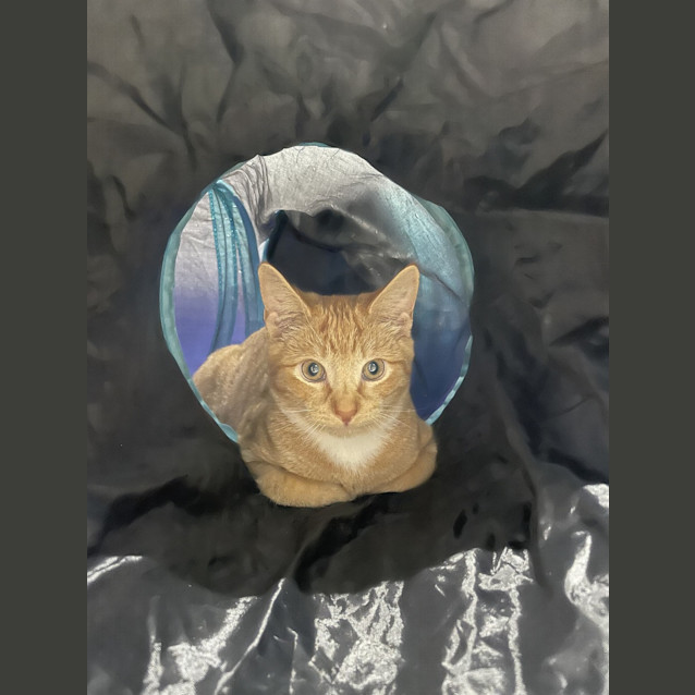 Photo of Fleur