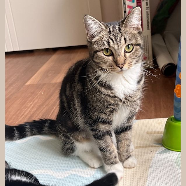 Photo of Gretel
