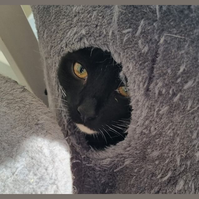 Photo of Mr Boots