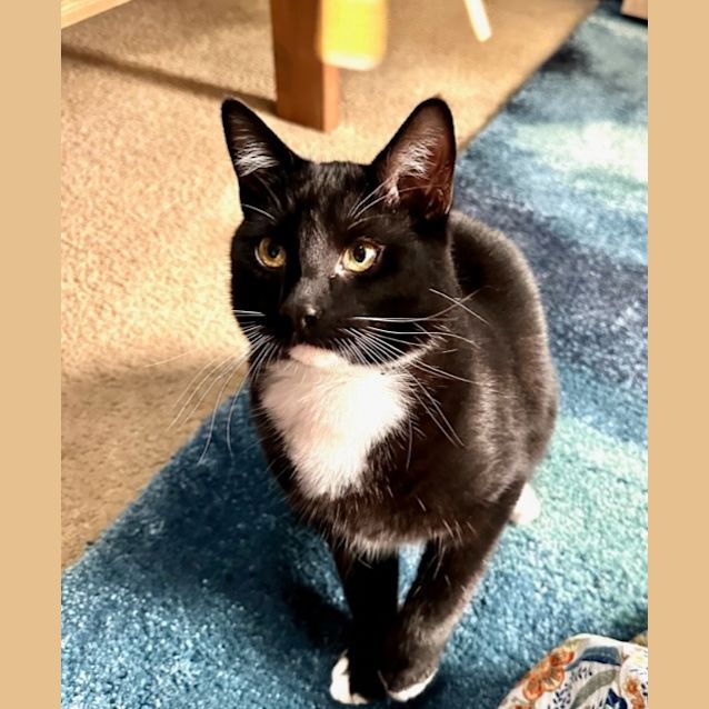 Photo of Mr Boots