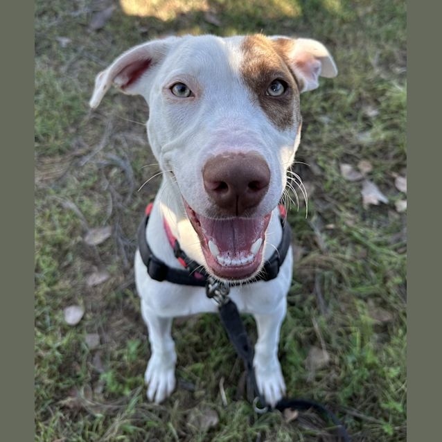 Photo of Stormy