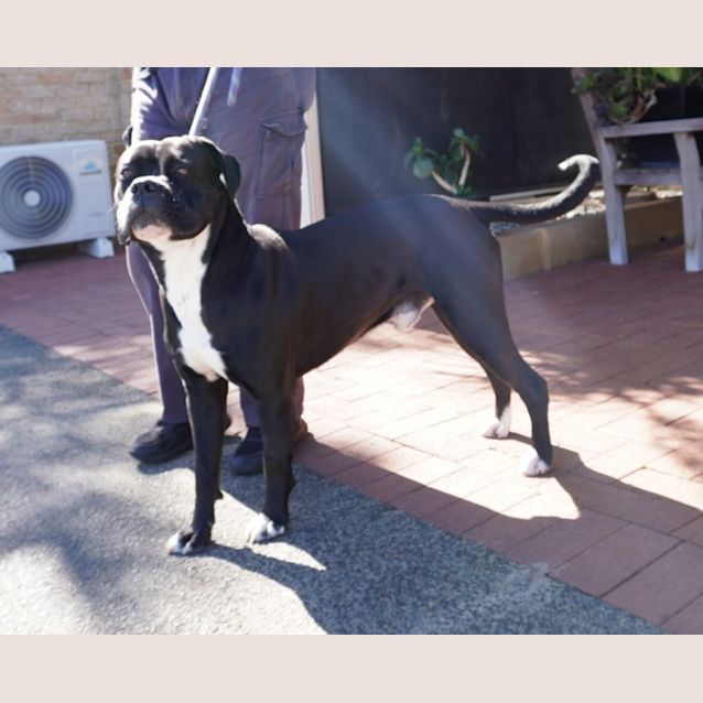 Photo of Ace