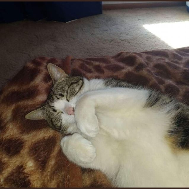 Photo of Lucy