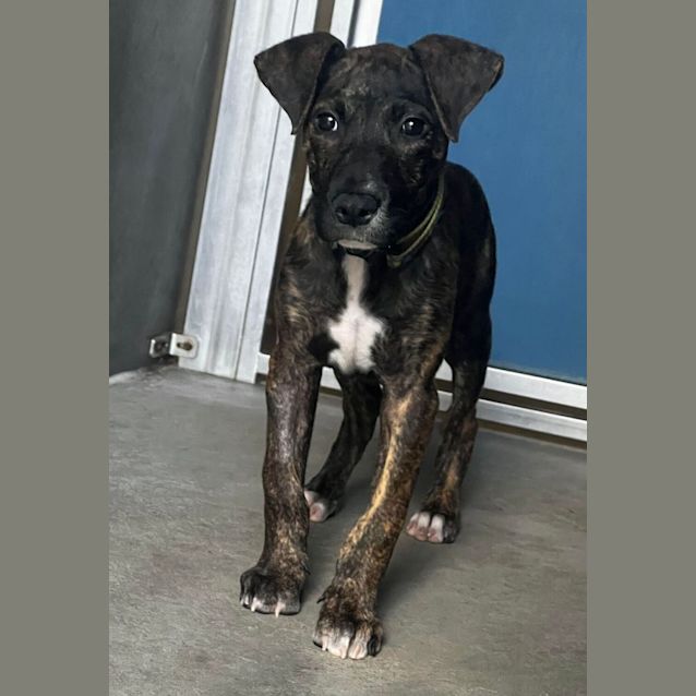 Photo of Wally