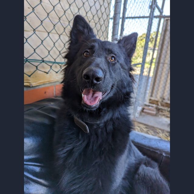 Photo of Odin