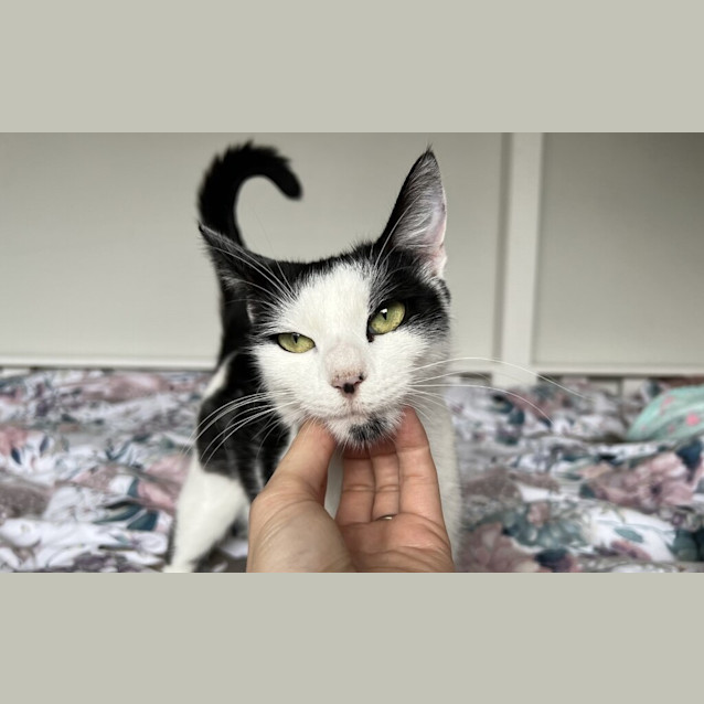 Photo of Rosie