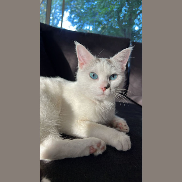 Photo of Roxy