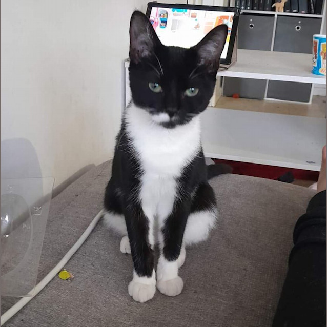 Photo of Afina