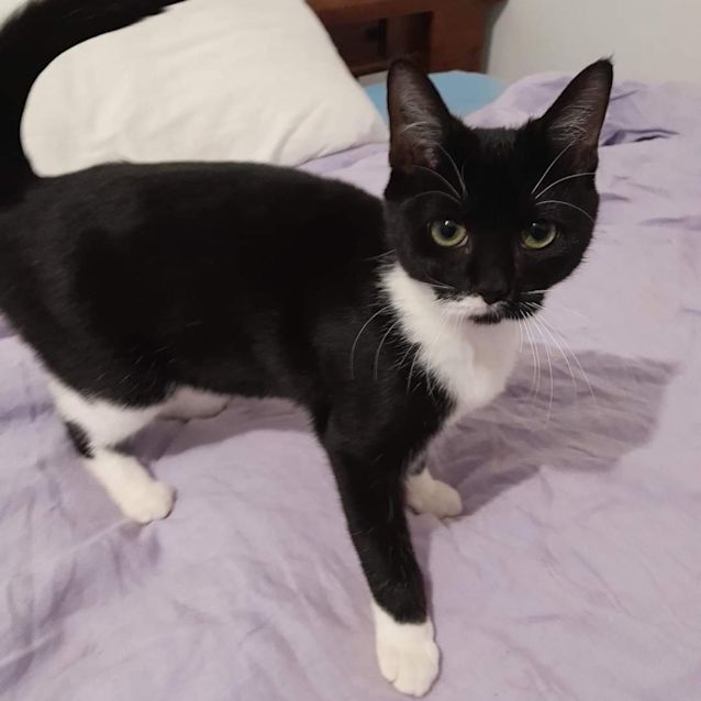 Photo of Afina