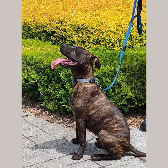 Photo of Terry / Tarragon