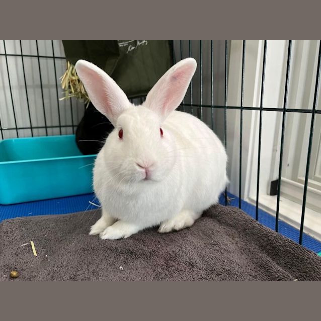 Photo of Cash & Wilma