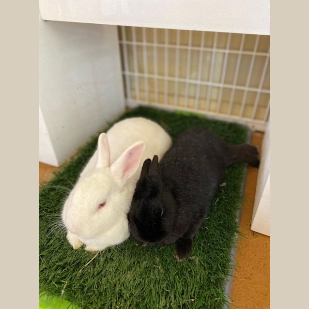 Photo of Cash & Wilma