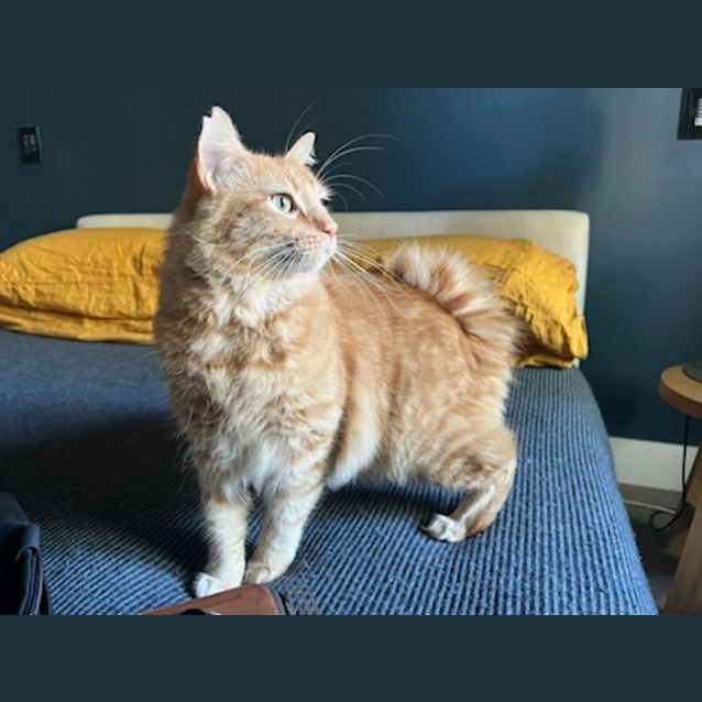 Photo of Rodney 