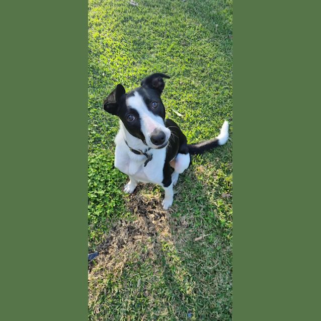 Photo of Jake