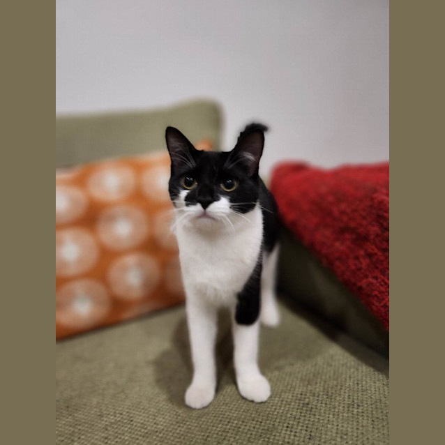 Photo of Gemma