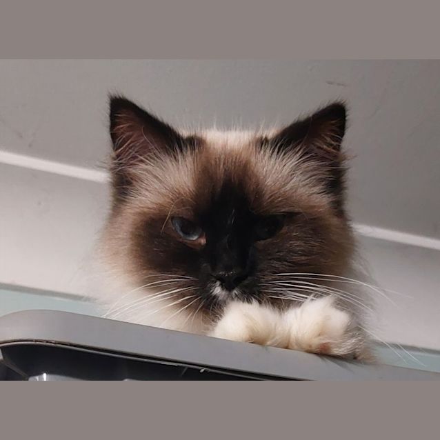 Photo of Heidi 