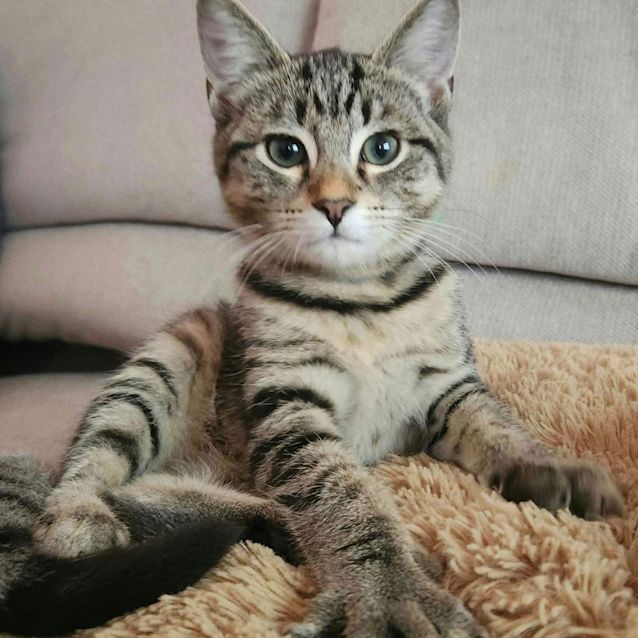 Photo of Spike