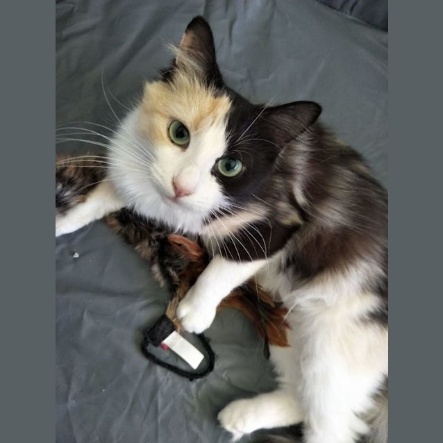 Photo of Zesty 