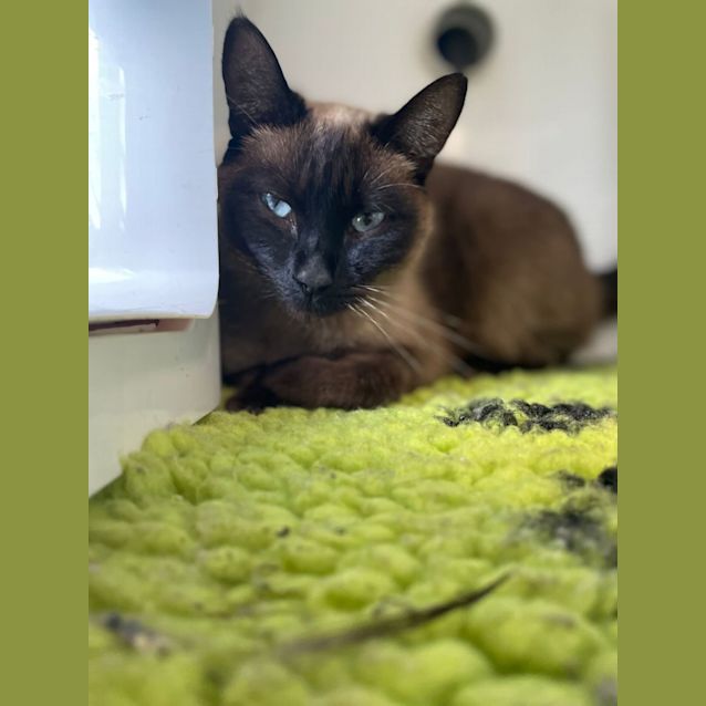 Photo of Sabrina