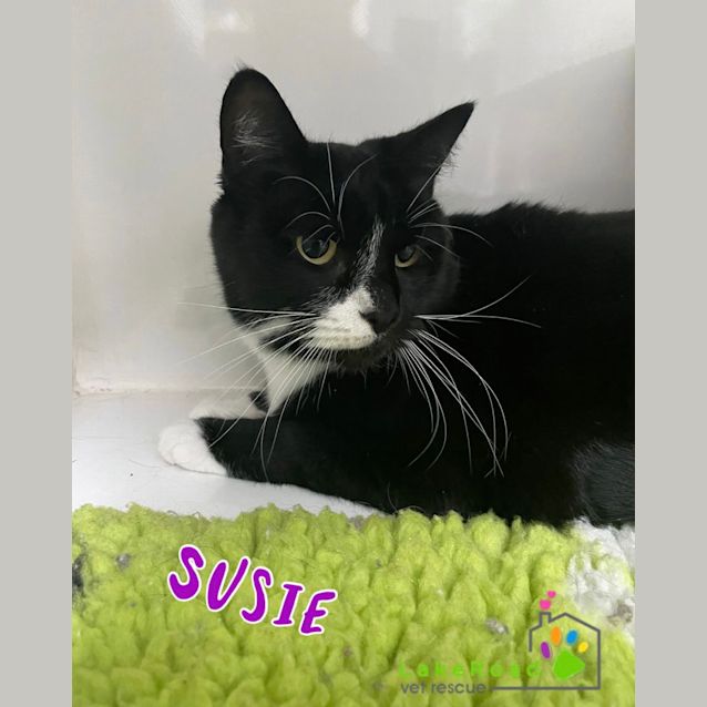 Photo of Susie